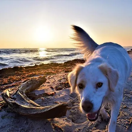 Appartement Haus Am Breege